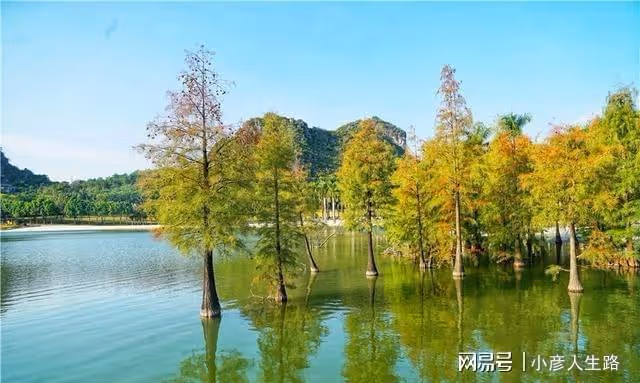 探秘廣西小眾秘境,美若仙境就連很多本地人也沒來過,就在南寧