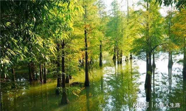 探秘廣西小眾秘境,美若仙境就連很多本地人也沒來過,就在南寧