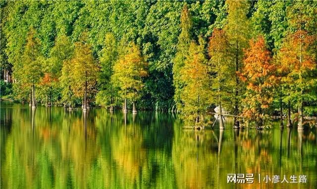 探秘廣西小眾秘境,美若仙境就連很多本地人也沒來過,就在南寧