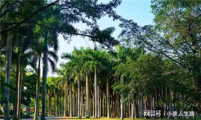 探秘廣西小眾秘境,美若仙境就連很多本地人也沒來過,就在南寧
