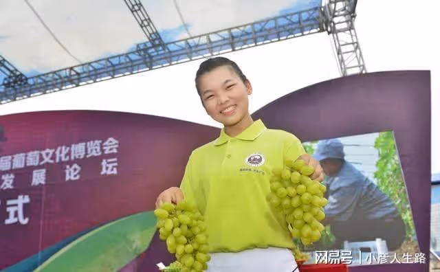 又是葡萄成熟季,多彩廣宗等你來