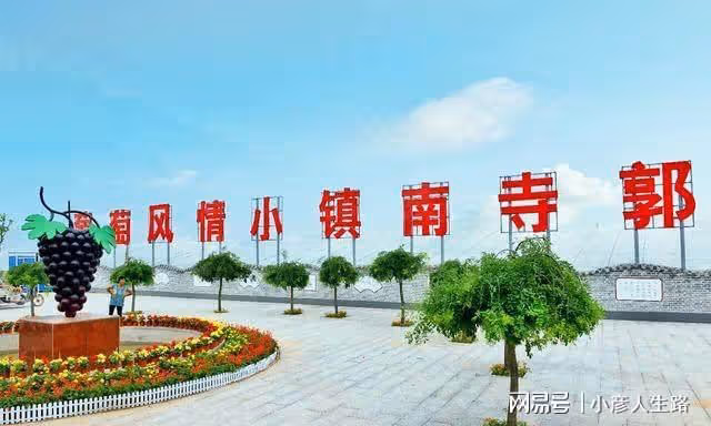 又是葡萄成熟季,多彩廣宗等你來