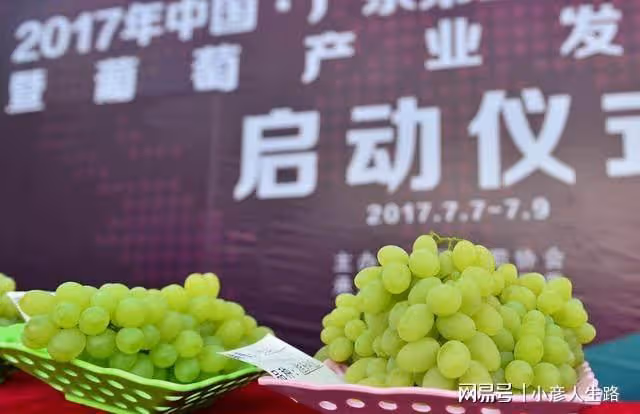 又是葡萄成熟季,多彩廣宗等你來