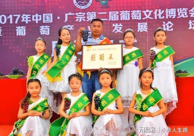 又是葡萄成熟季,多彩廣宗等你來