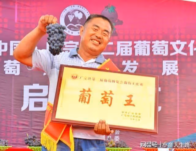 又是葡萄成熟季,多彩廣宗等你來