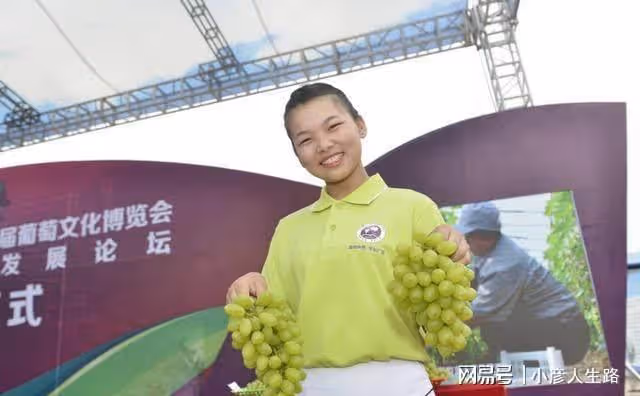 又是葡萄成熟季,多彩廣宗等你來
