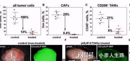 新研究:靶向聯合免疫新技術,或可根治晚期癌症!還可防復發
