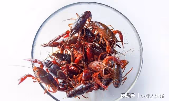 中國吃貨最瘋狂!外來物種吃到快滅絕,還解決了美國人頭疼的問題