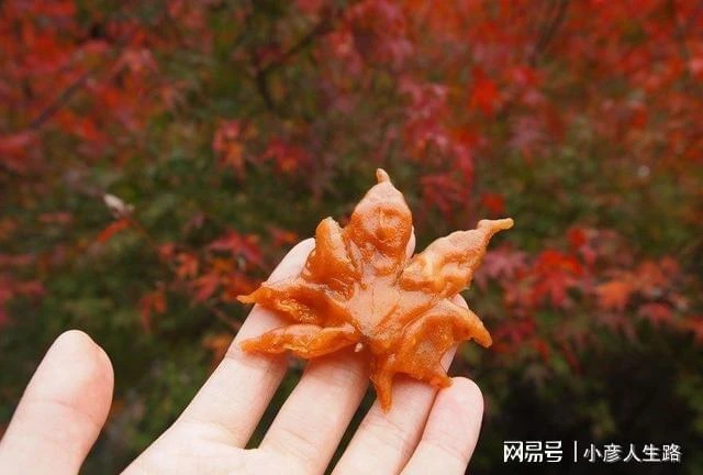 在中國被當垃圾扔掉,沒曾想在日本卻成高端美食?還吃了上百年!