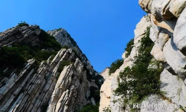 從前爬不動，現在爬不起！這三座名山過分商業化！就差空氣收費了