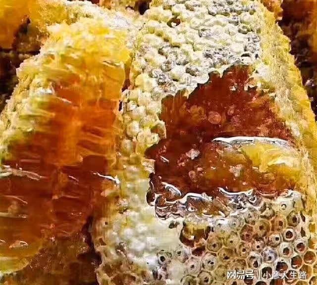 喜馬拉雅山采蜜人:雪山蜜只供皇室享用,什麼價格都不會賣