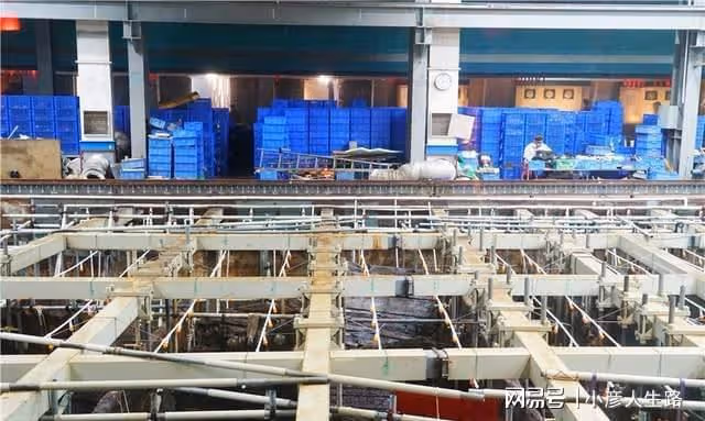 廣東陽江,這個博物館很神奇,裡面放了一艘船,卻發現18萬件文物