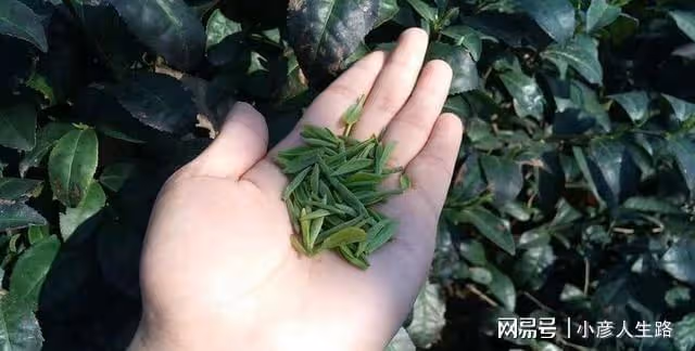 河南一座山清水秀的三線小城,連續十年被評為宜居之城!你去過嗎