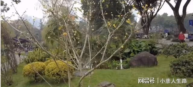 沙坪壩著名的老公園，亭台閣樓清新秀麗，不見記憶中的世界景觀