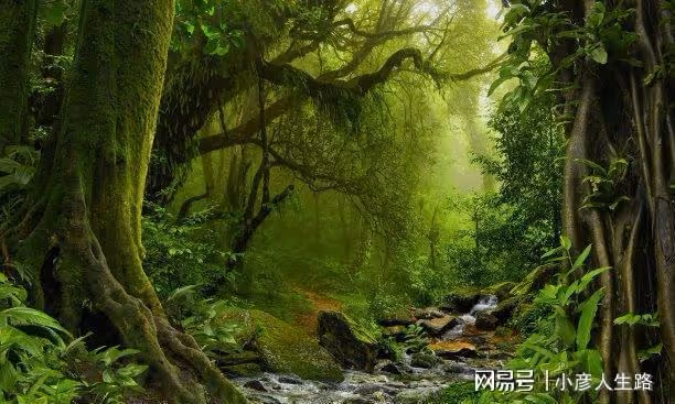 亞馬遜河有多可怕，能讓不少探險者在此無辜喪命？