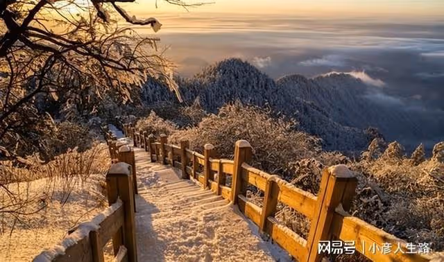四川一景區「飽受爭議」,口碑不好,遊客吐槽:太坑人了