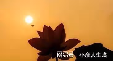 五十歲,才是人生的開始(經典)
