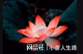 五十歲,才是人生的開始(經典)