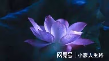 五十歲,才是人生的開始(經典)