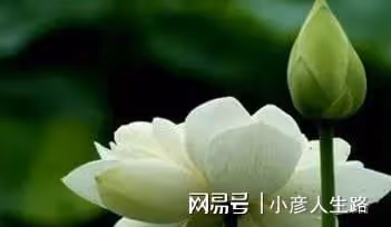 五十歲，才是人生的開始（經典）