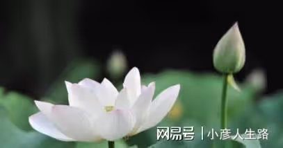 五十歲，才是人生的開始（經典）