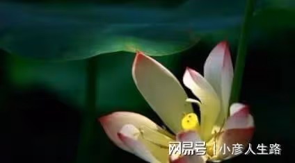 五十歲，才是人生的開始（經典）