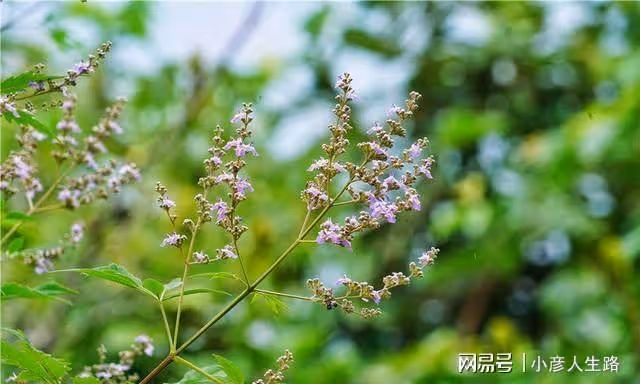 鄭州大峽谷深處有野人出沒,在100米高的空中玩劈腿