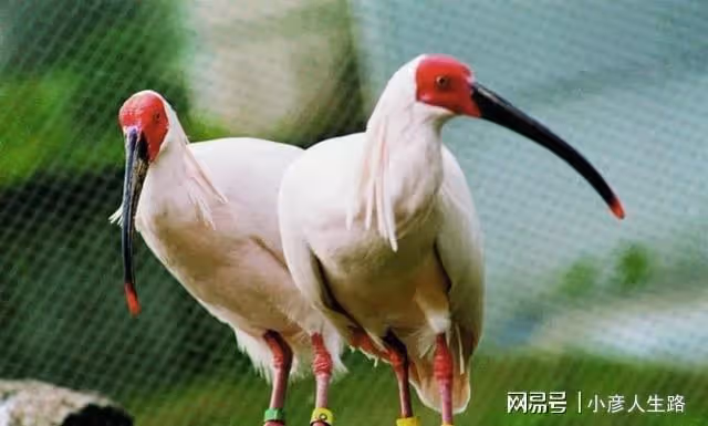陝西這4個原生態古鎮,景美人不多,關鍵還全部免費