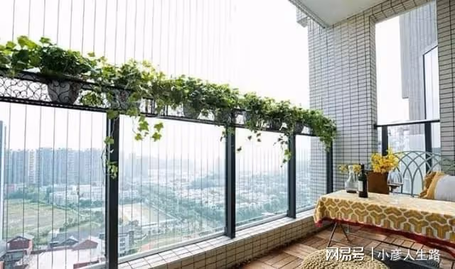 俗語「陽台三不放,避免家興旺」,指的是哪「三不放」,有道理嗎