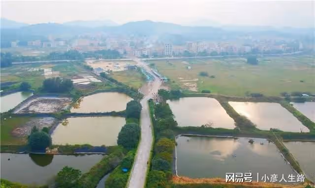 廣東有一個唯美的海上綠洲,長滿了紅樹林,環境優美很少遊客知道