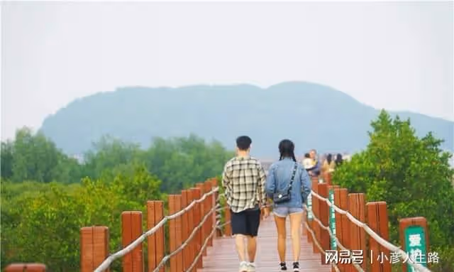 廣東有一個唯美的海上綠洲,長滿了紅樹林,環境優美很少遊客知道