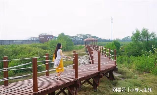 廣東有一個唯美的海上綠洲,長滿了紅樹林,環境優美很少遊客知道