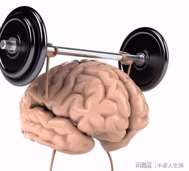 男性60歲後如何保持健康,延緩衰老?做好4點,助力晚年幸福生活