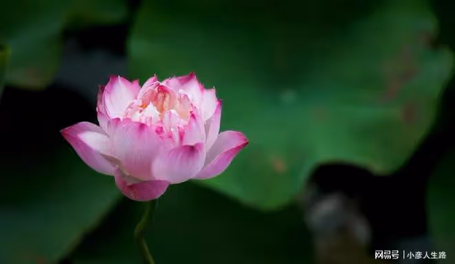 能成大器者,也能「打破常規」