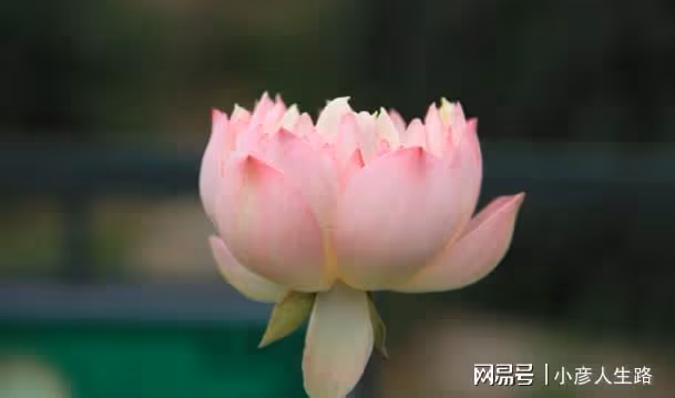 能成大器者,也能「打破常規」