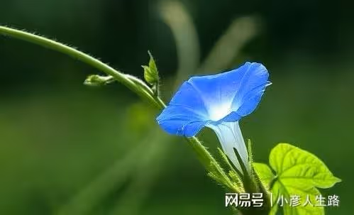 這三種事,爛在肚子裡也不能與別人交流,避免惹禍