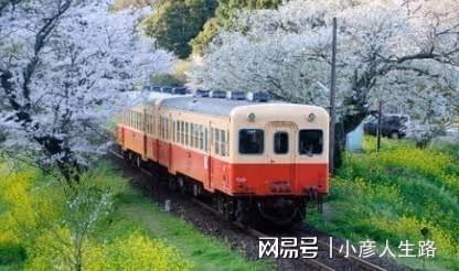 真正的人生,從五十歲開始(美文)