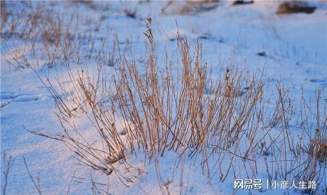 歐亞大陸距離海洋最遠的地方，位於新疆，現成網紅景點