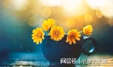 讓人舒服,是最高級的人格魅力