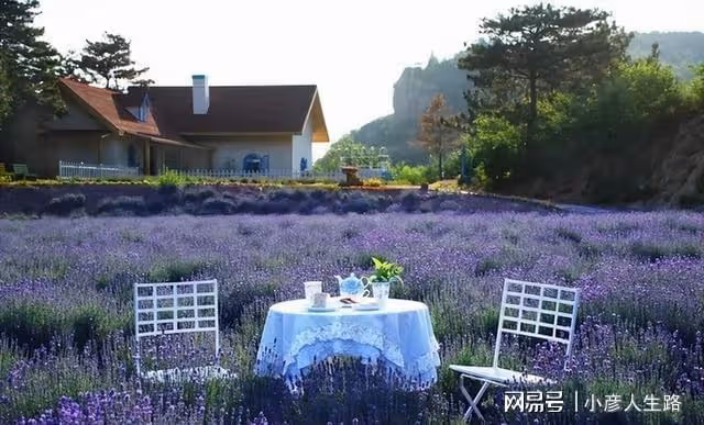 國內這幾個浪漫的求婚聖地,你知道嗎?一起來了解一下吧