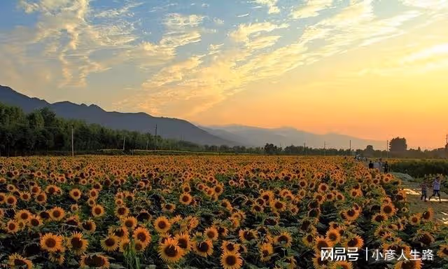 國內這幾個浪漫的求婚聖地,你知道嗎?一起來了解一下吧