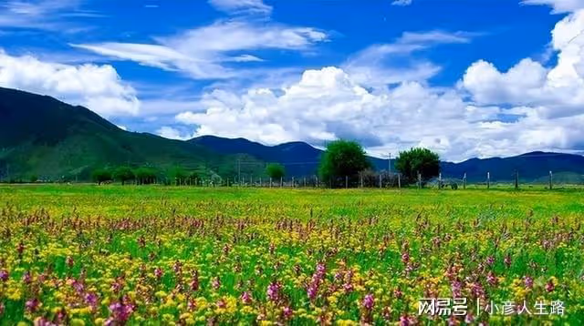 國內這幾個浪漫的求婚聖地,你知道嗎?一起來了解一下吧