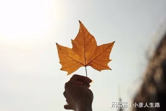 到底是夫妻之間親,還是兄弟姐妹之間親?