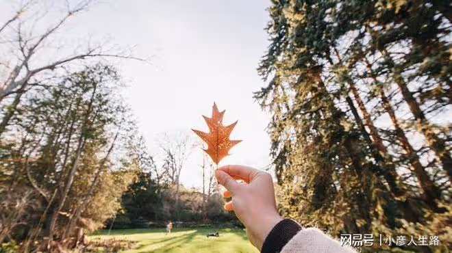 到底是夫妻之間親,還是兄弟姐妹之間親?