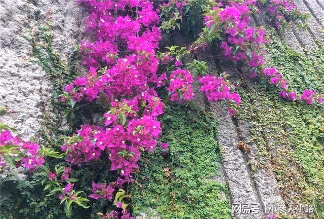 長崎哥巴拉公園,看看150年前的西餐桌上都有什麼