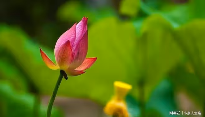 真正靠譜的人,善於「閉環管理」