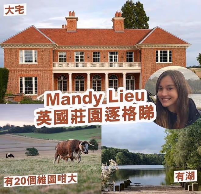 劉碧麗國外身價暴漲，打理5億莊園，懶理洗米華的18年刑期宣判