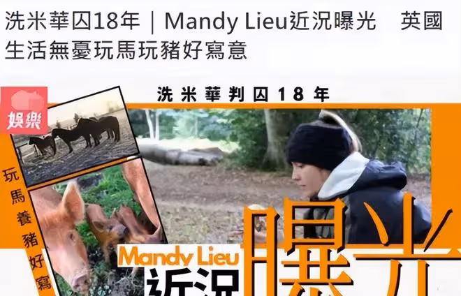 劉碧麗國外身價暴漲，打理5億莊園，懶理洗米華的18年刑期宣判