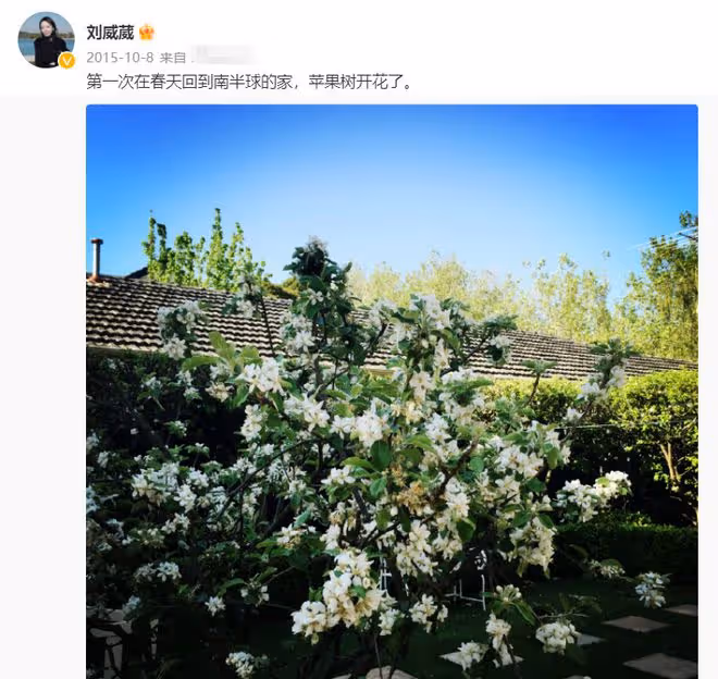 46歲劉威葳到澳洲過年!穿短褲逛海邊皮膚白到發光,住別墅太愜意