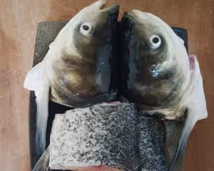 奶白奶白的胖頭魚湯